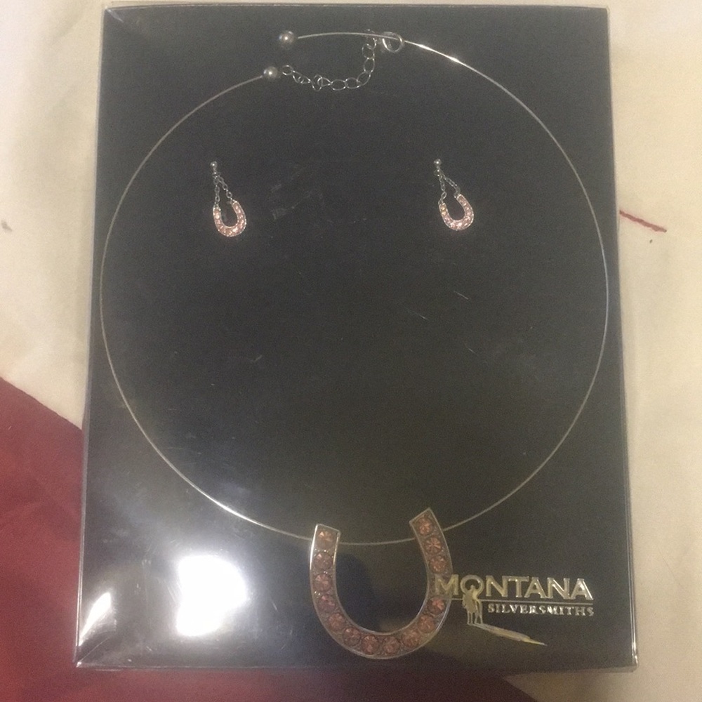 Montana Silver necklace earrings set